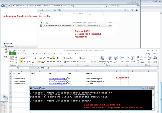 I will make python scripts and applications