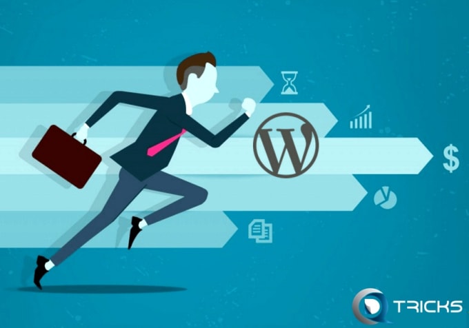 I will make your wordpress site supper fast