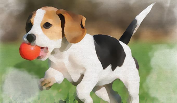 I will paint a watercolor pet portraits