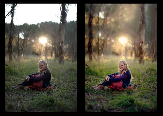 I will provide any photo editing service