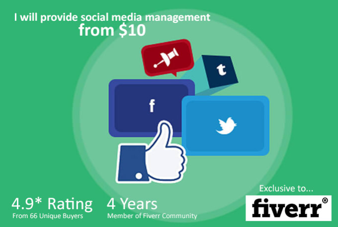 I will provide social media management