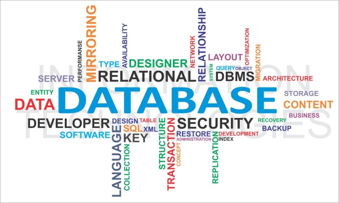 I will provide support of Databases and Management Systems
