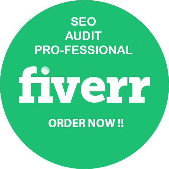 I will provide website audit pro for your url