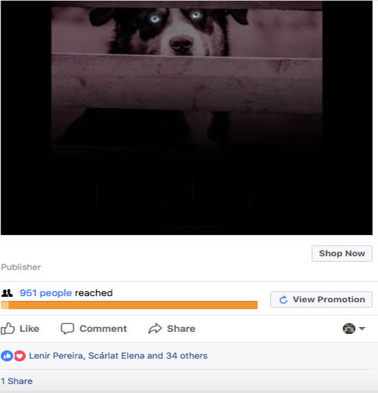 I will publicize your book on our facebook publishing page