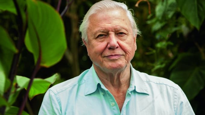 I will read your script in a david attenborough voice