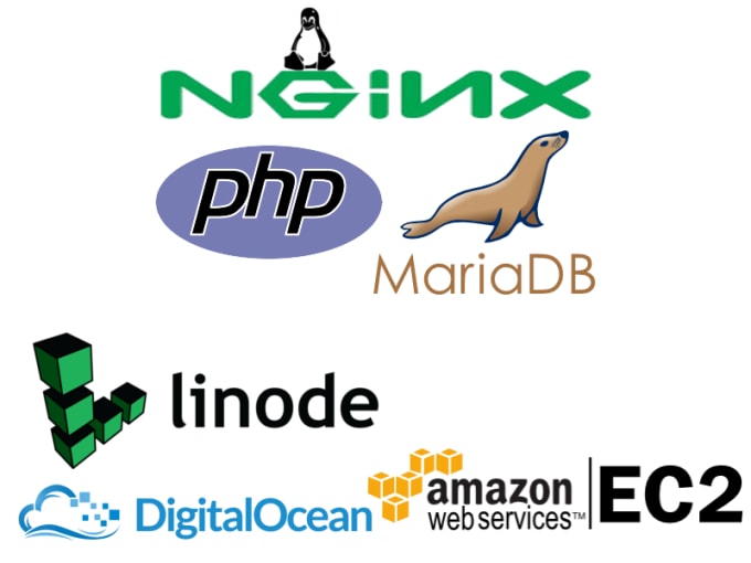I will run a lemp or lamp stack in your cloud hosting