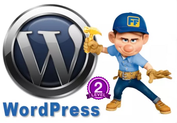 I will setup any wordpress theme like the demo