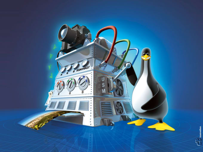 I will setup cpanel, plesk,  directadmin, cwp, ispconfig