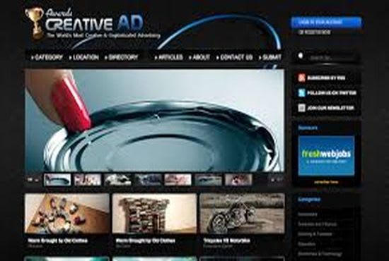 I will setup your WordPress theme