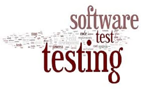 I will test the software or app for usability and functionality