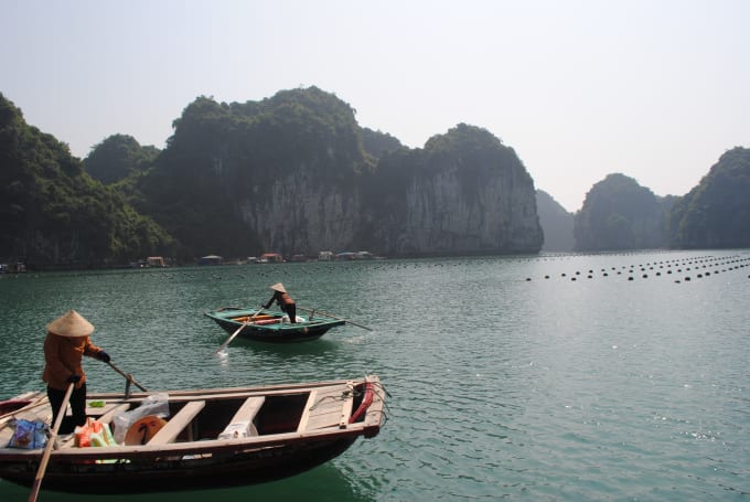 I will translate your medical documents vietnamese to english