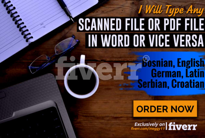 I will type any scanned file or PDF file in word or vice versa