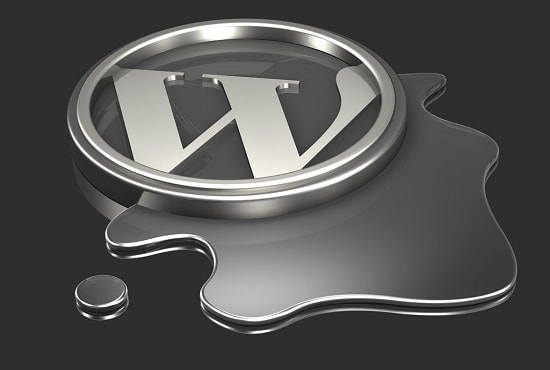 I will update your wordpress to latest