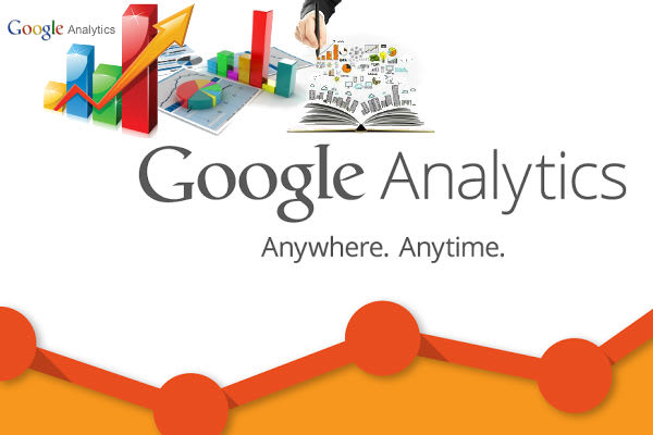 I will verify your website in google analytics