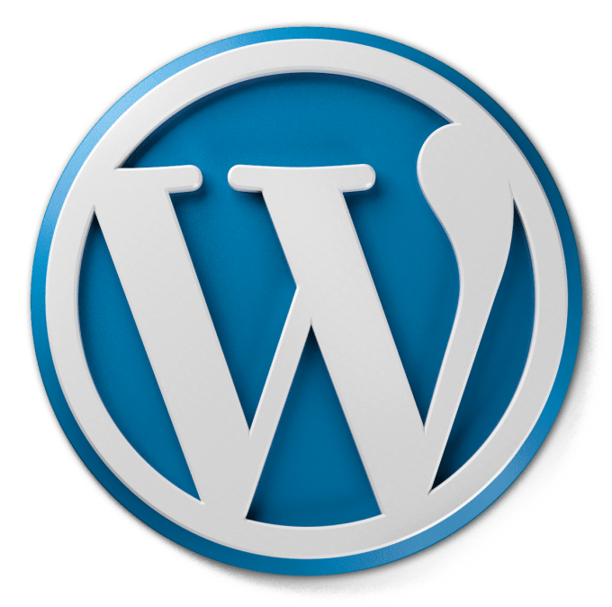 I will wordpress site speed improvement