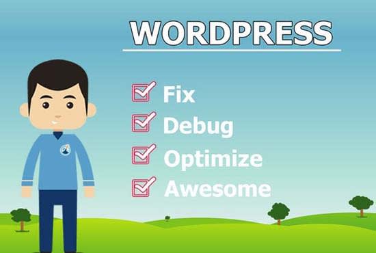 I will work as your wordpress assistant and fix all errors
