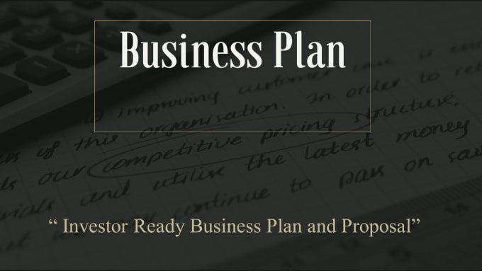 I will write a business plan