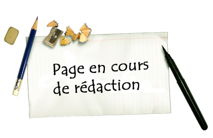 I will write any kind of articles in french about any topic