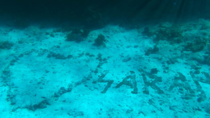 I will write your names on the ocean bed next to a heart shaped coral