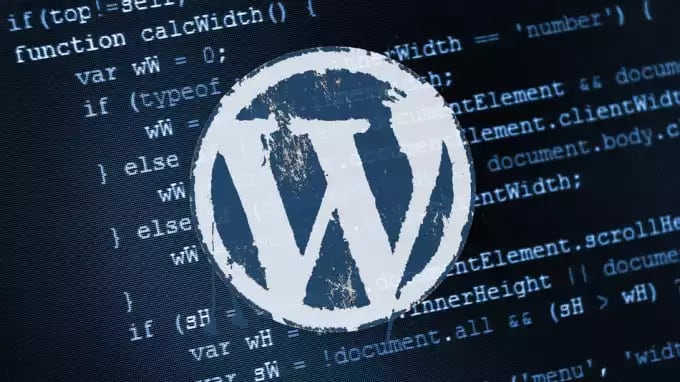 I will create and Customize Your Wordpress Website