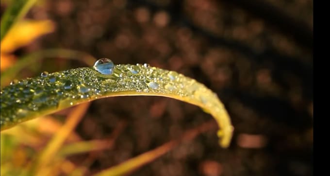 I will create Awesome NATURE music video for your song