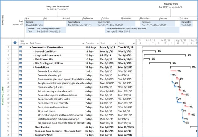 I will create gantt chart and project plan with microsoft project or called ms project