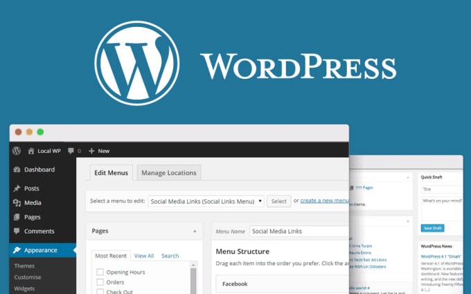 I will create wordpress site with dummy content
