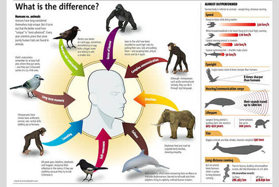 I will design a high quality infographic for you