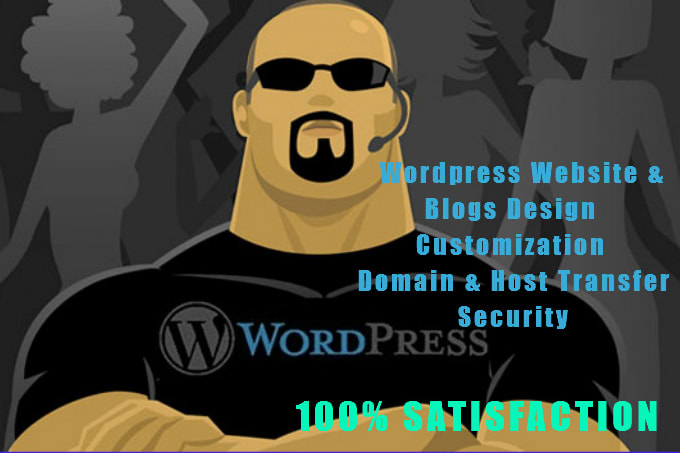 I will design and customize a responsive wordpress site and do SEO