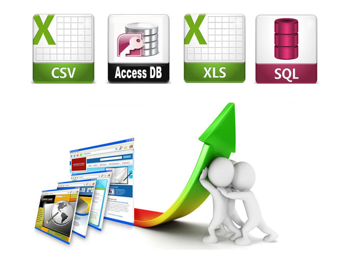 I will do 1000 records data scraping, data mining,data extracting from any website