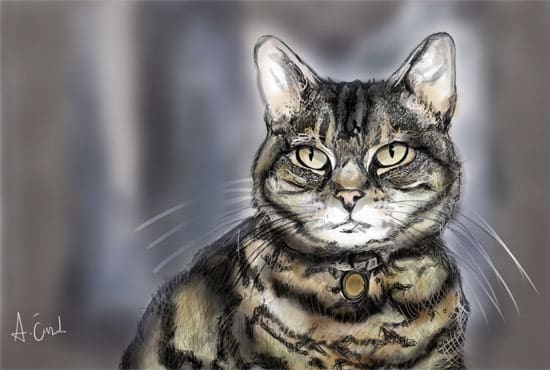 I will do a professional illustration, painting of your pet by hand