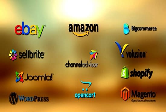 I will do amazon, ebay, shopify,best product listing and seo