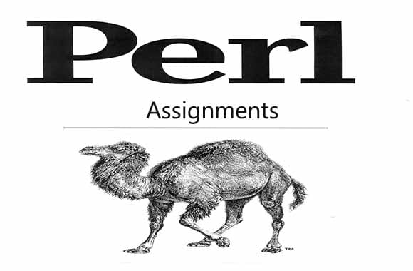 I will do any perl script