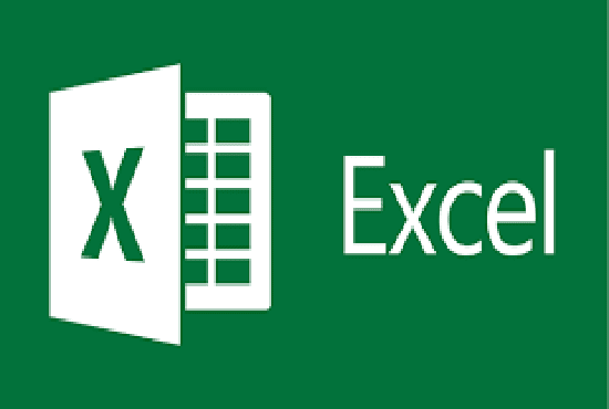 I will do data entry on excel word or online