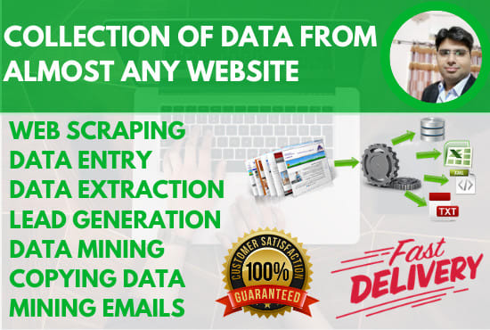 I will do web scraping, data mining, excel data entry