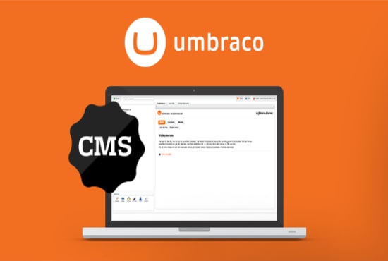 I will do your umbraco tasks