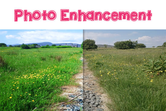 I will enhance and improve any photo