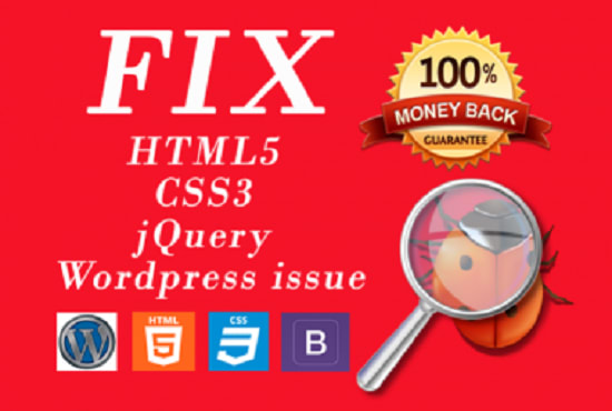 I will fix plugin bugs wordpress