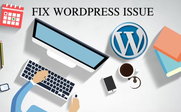 I will fix wordpress error,css error, customize wordpress theme