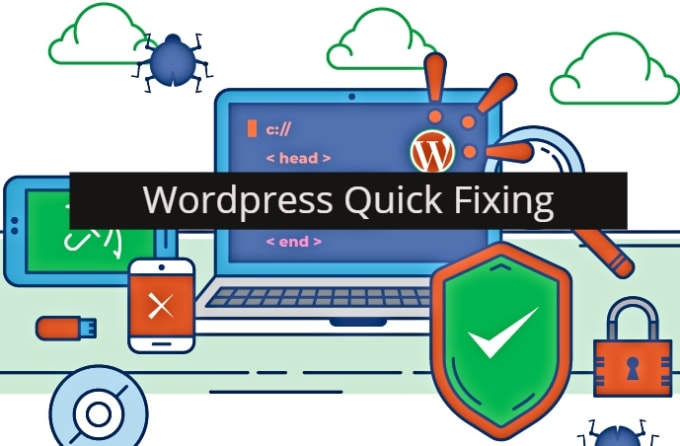 I will fix wordpress issues,bugs and errors