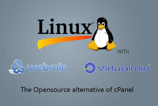 I will install and configure webmin virtualmin control panel on vps or server