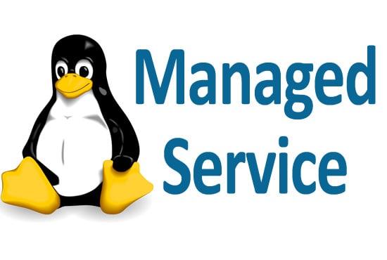 I will manage, fix Linux server issues