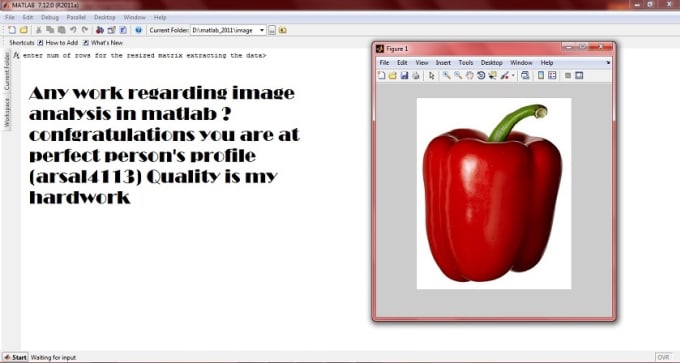 I will solve matlab or image processing assignments for you easily