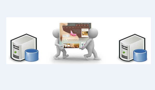 I will transfer or migrate your website one cpanel to other