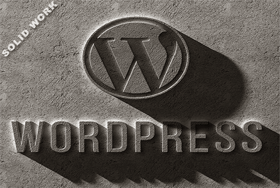 I will wordpress website development add functions,website creation