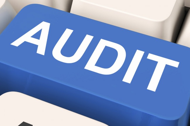 I will auditing websites fixing bugs