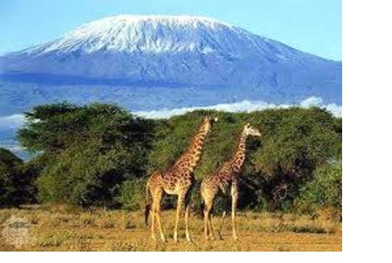 I will be Writing and Translating English2 Swahili and vice versa