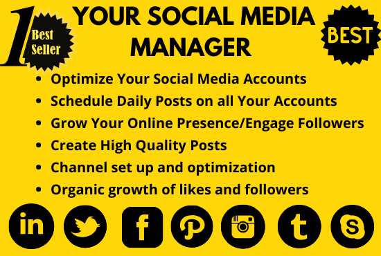 I will be your social media manager and personal assistant