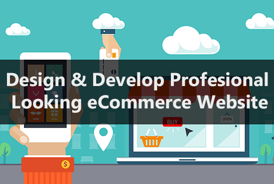 I will build professionally design ecommerce website