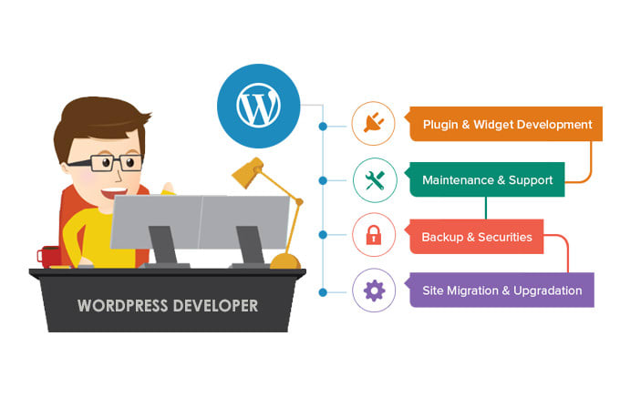 I will create a wordpress website responsive